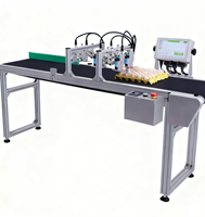 Impresora de Huevos Más Vendida, Docod T600, 6 Cabezales, Impresora Industrial de Inyección de Tinta Térmica en Línea para Impresión de Número de Lote en Huevos