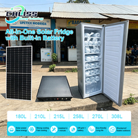 Congélateur vertical 198L, 11 niveaux, machine à glaçons solaire, DC 24V, congélation rapide, efficacité énergétique pour les magasins et les hôtels