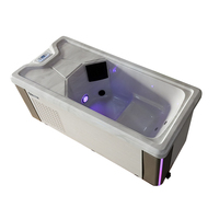Bigeer Spa extérieur de luxe moderne en acrylique Balboa, écologique, autoportant, bain de glace, pour exercice et rééducation, Villa 2-Year 2
