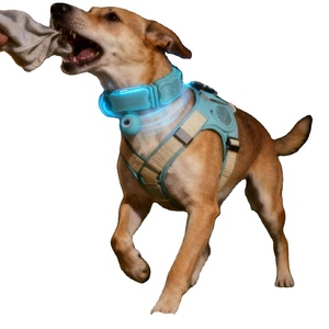Collar con Rastreador GPS Inteligente para Mascotas OEM, 4G LTE, Rastreo en Tiempo Real, Mini Cámara Impermeable, Monitor de Salud, Cerca Virtual para Perros y Gatos - Product Image 2