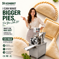 Machine à raviolis grande capacité 120 Max pour pâtisseries farcies, en acier inoxydable 304, facile à utiliser, logo personnalisé