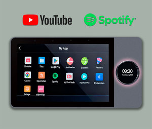 Tianlai Q7 2 Music Zones Home Audio Wall Amplifier App <b>Remote</b> Control Built in Gateway Smart <b>Switch</b> Tianlai Q7 2 Music Zones Hom - Product Image 6