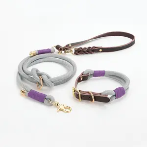 Nylon No Pull P-type Chain Pet Collar Leash Dog Leads And Collars Set Dog Supplies Pet Accessories