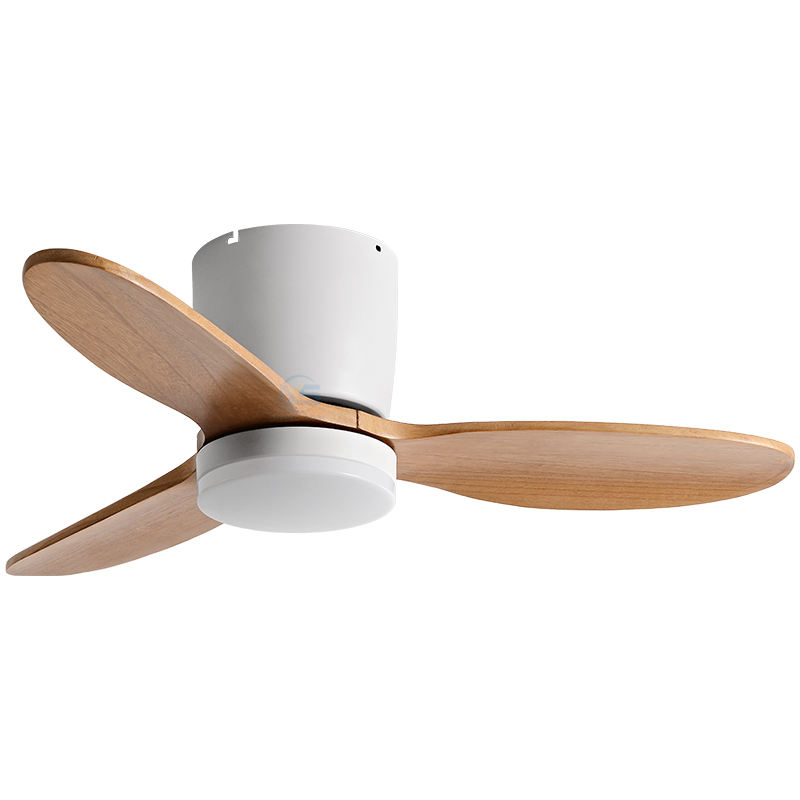 ขาว + เม็ดไม้