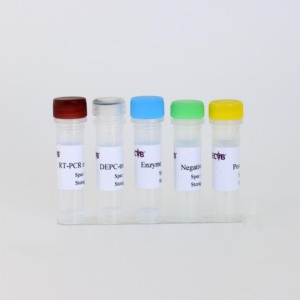 Kit <span class=keywords><strong>de</strong></span> detección <span class=keywords><strong>de</strong></span> ácido nucleico PPRV (RT-qPCR liofilizado, 50T/Kit)-para diagnóstico veterinario - Product Image 5