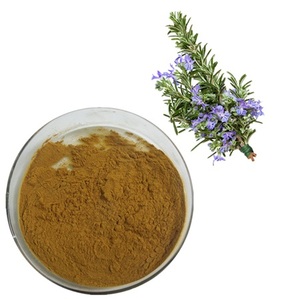 Extracto de Romero, Ácido Rosmarínico 10%~98%, Polvo Natural Antioxidante y Calmante para la Piel, Personalizable a Granel, Rosmarinus Officinalis - Product Image 3