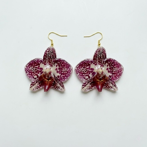 <span class=keywords><strong>Orecchini</strong></span> da Donna Ispirati al Lusso, Design Bohémien <span class=keywords><strong>in</strong></span> Acciaio Inossidabile Dorato con Fiori Veri Conservati Multicolore, Modello Orchidea - Product Image 6
