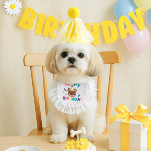 Bandanas pour fête d'anniversaire d'animaux de compagnie, motif ours, ensemble mignon de bavoir et chapeau pour chien, anniversaire de chien - Product Image 4