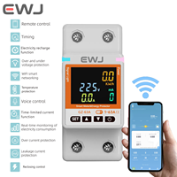 Tuya PA66 Mini maison intelligente disjoncteur 2P 63A Wifi RCBO compteur d'énergie minuterie fuite à la terre interrupteur intelligent disjoncteur