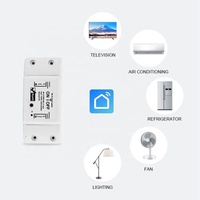 Smart Lift App Tuya 10A Wifi Disyuntor inteligente con control de temporizador Módulo de interruptor Wifi compatible