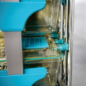 BIOBASE China Factory Lab Mouse Cage 2025 <span class=keywords><strong>Jaula</strong></span> de cría de ratas de ratón grande 10 ~ 85 veces/H Tasa de ventilación Sistema de <span class=keywords><strong>jaula</strong></span> de ratón IVC - Product Image 2