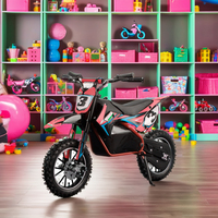 2025 APAQ 800W 1000W 36V moteur brossé Mini Cross Bike 10 pouces roue Mini Cross Bike avec CE électrique enfants Motocross à vendre