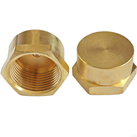 Bouchon d'extrémité en laiton à tête hexagonale fileté NPT femelle 1/4" 1/8" 3/8" 1/2" 3/4" pour tuyau, raccord de plomberie, adaptateur