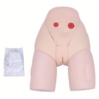 Modelo de entrenamiento de Enfermería de cateterismo de orina femenino KyrenMed, modelo de simulador uretral, modelo anatómico humano, simulador de maniquí