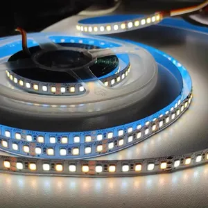 Smart Lighting Dual Color Light Strip Dc12v/24v 2835/3528 Dual White LED Strip For Interior Decoration