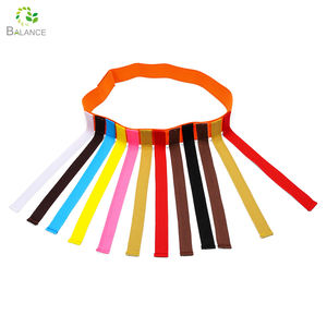 Coda d'asilo che tira oggetti di scena coda arcobaleno che tira giocattoli con un elastico per un emozionante gioco di caccia all'aperto - Product Image 2