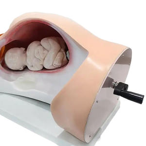 รูปแบบการเกิดของ<span class=keywords><strong>เด็ก</strong></span>ทางการแพทย์ของการเรียนการสอนในโรงเรียนการพยาบาล - Product Image 4