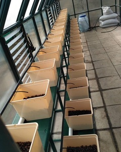 Sistemas de cultivo hidropónico de tomate de cubo holandés de plástico para cultivo en aguas profundas - Product Image 5