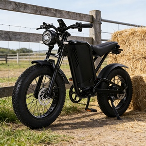 Vélo électrique tout-terrain professionnel à double moteur et pneus larges avec <span class=keywords><strong>suspension</strong></span> pour les trajets sur terrains accidentés - Product Image 3