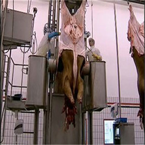 Machine à peler le cuir pour ligne d'abattage de bétail – Composants essentiels : Moteur, Pompe, Boîte de vitesses – Haute Efficacité, Automatique, Acier Inoxydable - Product Image 4