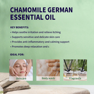 Aceite Esencial de <span class=keywords><strong>Manzanilla</strong></span> 100% Puro, Natural y Orgánico, Destilado al Vapor, de Primera Calidad, Aroma Floral, Nutritivo para el Cuerpo, Proveedor al por Mayor - Product Image 4