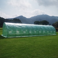 Serre en acier à toit rond écologique Protection UV Imperméable Facile à assembler 20 fenêtres pour la croissance des plantes