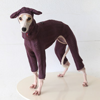 Tenue tricotée quatre pièces Petstyle Hiver Rétro en fil doux et chaud pour chien de compagnie, idéale pour le Bouledogue Italien et le Whippet