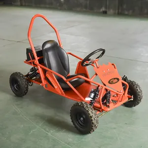 Hot sale CE certificate chain drive adult professional 2 seat gas powered go kart