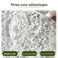 Substrat nutritif universel sans poussière Perlite pour la culture et l'expansion des orchidées succulentes, des semis et l'isolation en jardinage intensif