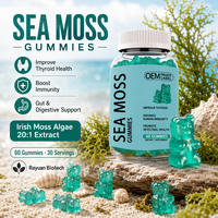 Gummies véganes en gros de mousse de mer pour l'hydratation et l'équilibre électrolytique des adultes, avec oligo-éléments et soutien immunitaire