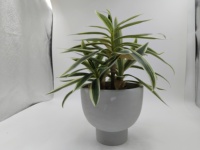 Plante artificielle en pot de Dracaena variegata, sans arrosage, sans entretien, décoration verte pour bureaux, entrées, étagères, bureaux, hôtels
