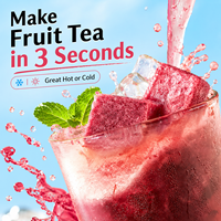 Cubo de Té Instantáneo con Sabor a Bayas y Lichi, con Fruta Seca Congelada, Bloque de Té de Frutas para Preparación en Frío, Servicio OEM, 85g
