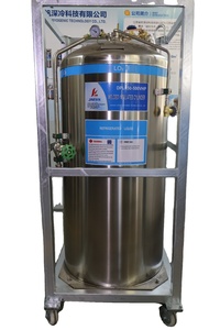 500VHP 3.2MPa cilindri isolati per la ricerca di salvaguardia azoto liquido - Product Image 5