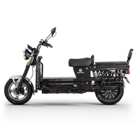 SIGOTECH Prix usine OEM Moto cargo électrique robuste en acier 1000 Watts 72 Volts pour charges lourdes