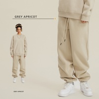 Sweat-shirt à capuche tricoté épais de couleur unie pour l'automne-hiver, avec logo frontal, style européen et américain, marque de mode urbaine, et pantalon de survêtement.