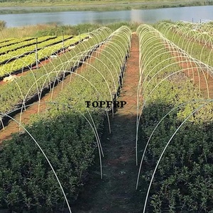 Poteaux d'arche agricole en fibre de verre de haute qualité, tiges solides en fibre de verre - Product Image 4