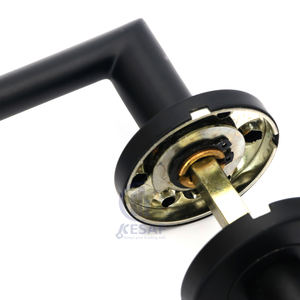 Poignée de porte d'entrée décorative <span class=keywords><strong>en</strong></span> acier inoxydable de confidentialité Design de mode pour appartement, intérieur, <span class=keywords><strong>banque</strong></span>, hôtel, école - Product Image 4