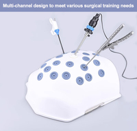 Dispositif de simulation laparoscopique pour l'enseignement médical, instruments de simulation de chirurgie gynécologique
