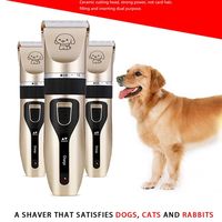 Tondeuse Électrique Sans Fil Professionnelle OEM à Lame Épaisse pour Poils d'Animaux, Rechargeable et Rapide, pour Toilettage de Chiens