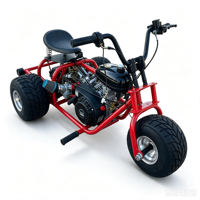 Kart de course tout-terrain miniature à essence pour adultes, 3 roues, type buggy de montagne