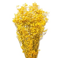 Dekorative Echte Frische Konservierte Schleierkraut-Blumen 120g Langlebig für Heim-Hochzeitsdekoration Muttertag Vatertag Weihnachten
