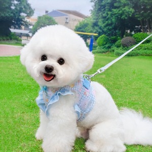 Fashion Design Soft Adjustable Breathable Dog <strong>Harness</strong> with Leash Comfortable Vest Pet <strong>Harness</strong> for Small Medium Dogs <strong>Cats</strong> - Product Image 2