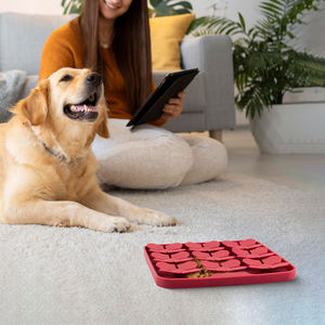 คู่มือการฝึกอบรม-ฐานซิลิโคนสำหรับงานหนักพร้อมถ้วยดูดแผ่นให้อาหารแบบโต้ตอบ (เกรดอาหาร) - Product Image 1