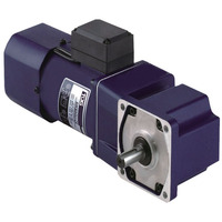 Moteur à engrenages à angle droit à vis sans fin monophasé 220V avec réducteur 6-250W, rapport 5-250, 50/60Hz, garantie 3 ans