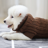 Pull en tricot moderne pour animaux de compagnie, pull à capuche pour chien en laine crochetée, nouveau Design