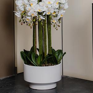 Orchidée Phalaenopsis Artificielle Mengjie Handicrafts, Plante en Pot, Pot en Céramique Blanche, Ornement Décoratif, Décoration Intérieure - Product Image 3