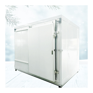 Attrezzatura di Refrigerazione ad Alta Efficienza Energetica, <span class=keywords><strong>Cella</strong></span> <span class=keywords><strong>Frigorifera</strong></span> per Uso in <span class=keywords><strong>Macelleria</strong></span> - Product Image 4