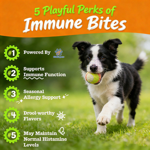 ขนมขบเคี้ยวสำหรับสุนัขแพ้ OEM/ODM 90 ชิ้น, บรรเทาอาการแพ้และอาการคันผิวหนังในสุนัข ช่วยเสริมสร้างภูมิคุ้มกัน พร้อมโปรไบโอติกสำหรับสุนัข - Product Image 2