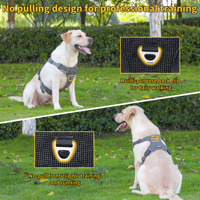 Accessoires pour animaux de compagnie, vente en gros en Chine, produits durables et élégants pour chiens et chats, approvisionnement direct d'usine, qualité supérieure