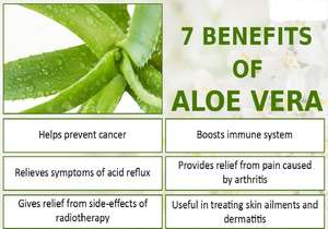 Massen preis 100% reines natürliches Aloe Vera Öl Private Label Großhandel Aloe Vera Öl für <span class=keywords><strong>Massage</strong></span> und Hautpflege - Product Image 5